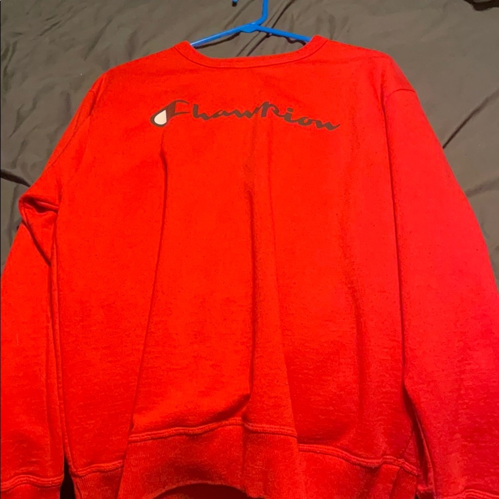 Champion Pullover - image 1